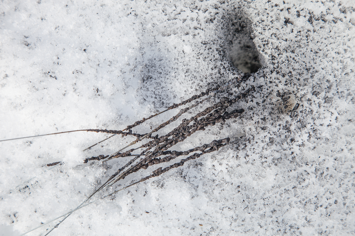 16 schuss 35 sek 40 m #03